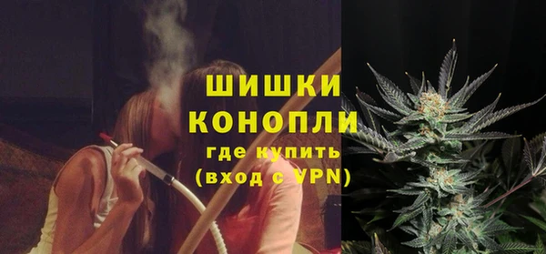 СК Новозыбков