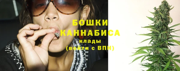 СК Новозыбков