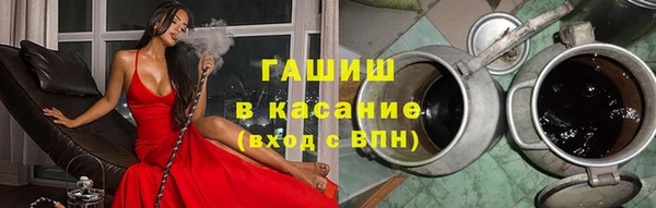 шишки Дмитриев