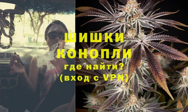СК Новозыбков