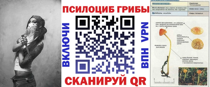 Галлюциногенные грибы Magic Shrooms  Калач-на-Дону 