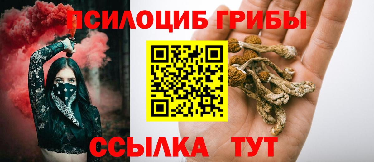 Галлюциногенные грибы мицелий  Галлюциногенные грибы GOLDEN TEACHER  Калач-на-Дону 