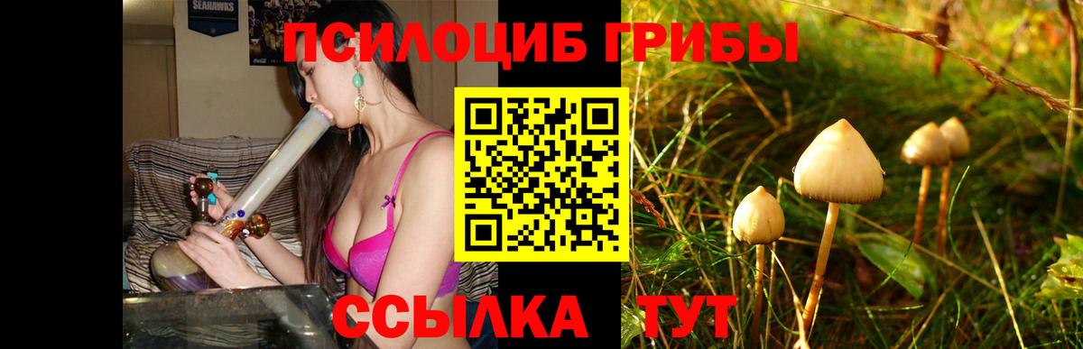 Калач-на-Дону  Псилоцибиновые грибы Psilocybine cubensis  Вход с VPN 