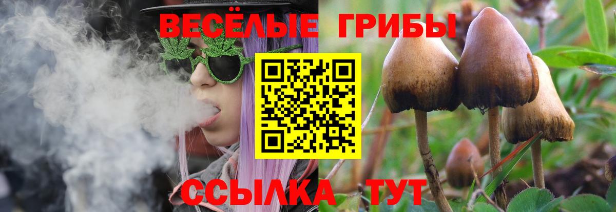 Гашиш  APVP СОЛЬ кристаллы  Каннабис  Экстази  НБОМе  Амфетамин   ГАШ  Мефедрон   COCAIN  МЕТАМФЕТАМИН  Калач-на-Дону  Меф кристаллы 