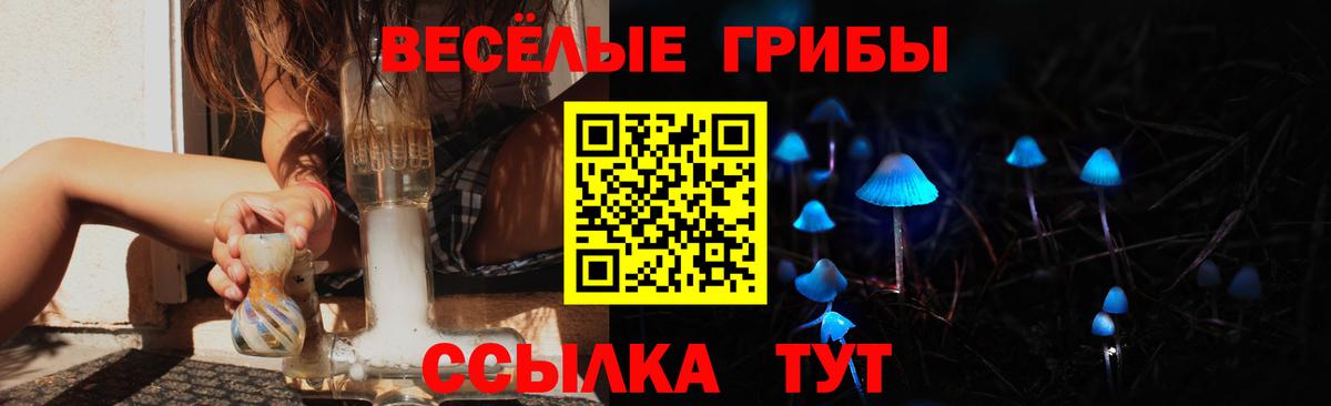 Псилоцибиновые грибы Psilocybine cubensis Калач-на-Дону